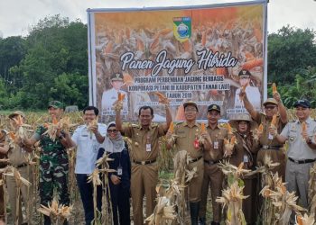 *Kementan Terus Kembangkan Korporasi Jagung Untuk Memandirikan Petani