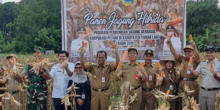 *Kementan Terus Kembangkan Korporasi Jagung Untuk Memandirikan Petani