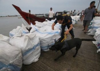 Bersama TNI, Bea Cukai Bali-Nusa Tenggara Gagalkan Penyelundupan Pakaian Bekas