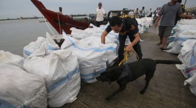 Bersama TNI, Bea Cukai Bali-Nusa Tenggara Gagalkan Penyelundupan Pakaian Bekas