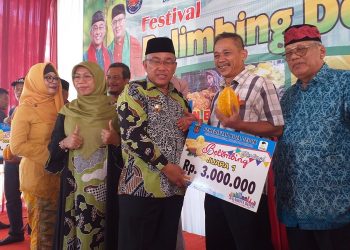 Lewat Festival, Pemkot Depok Bakal Majukan Komoditas Belimbing