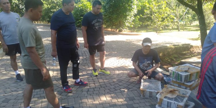 Dandim Depok Lepas 300 Burung Ke Alam Bebas
