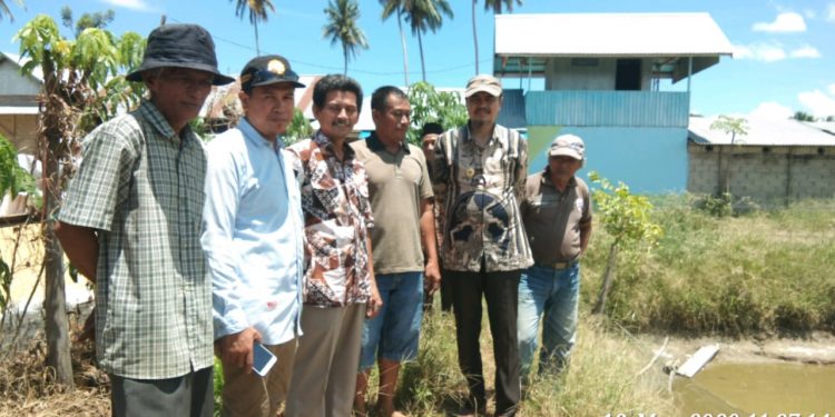 Kadistan Tolitoli Kolaborasi Dengan BPTP Sulteng Jamin Ketersediaan Benih Bagi Petani