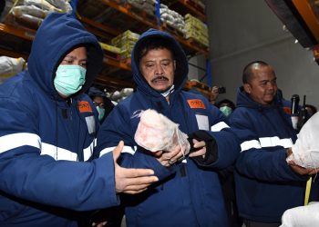 Temulawak, Jahe dan Kunyit Adalah Produk Pertanian Yang Dekat Dengan Kesehatan