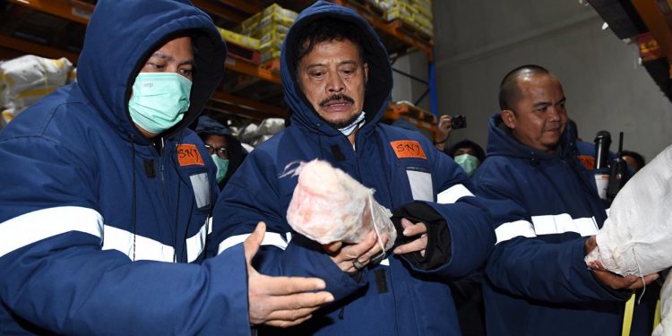 Temulawak, Jahe dan Kunyit Adalah Produk Pertanian Yang Dekat Dengan Kesehatan