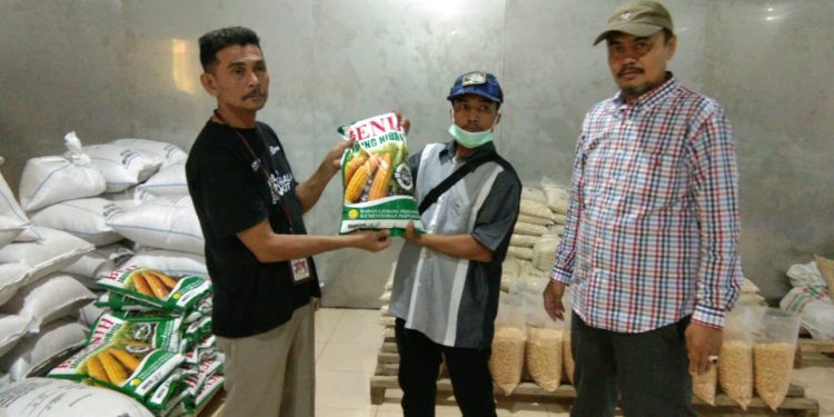 Kadistan Tolitoli Gerak Cepat Majukan Pertanian Mandiri dan Moderen