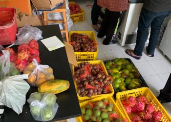 Perkuat Imunitas, Ahli Gizi Himbau Perbanyak Konsumsi Sayur dan Buah