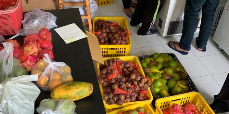 Perkuat Imunitas, Ahli Gizi Himbau Perbanyak Konsumsi Sayur dan Buah