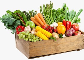 Siasati Penjualan Komoditas Hortikultura, Kementan Gandeng Sejumlah Startup