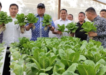 Misbakhun dan BI sosialisasikan program penguatan UMKM Dalam Mendukung Perkembangan UMKM