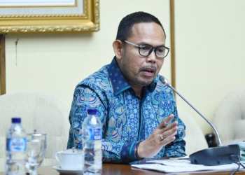 Aturan Dilanggar Tanpa Ada Penegakan Hukum, Sehingga Swasembada Bawang Putih menjauh