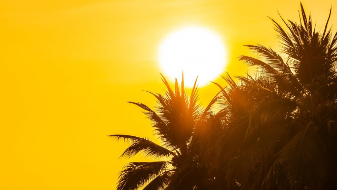 BMKG Imbau Masyarakat Ikuti Tips dari BMKG terkait Udara Panas dan Gerah Fenomena Musim Kemarau