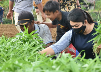Bantuan Untuk Kelompok Tani dari Aleg Nasdem