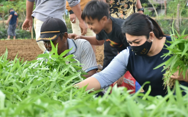 Bantuan Untuk Kelompok Tani dari Aleg Nasdem