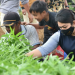 Bantuan Untuk Kelompok Tani dari Aleg Nasdem