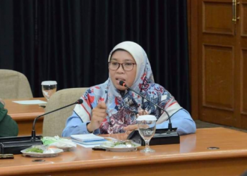 RUU Omnibus Law Dihentikan, Berpotensi Mengundang Campur Tangan Rezim Terhadap Pers