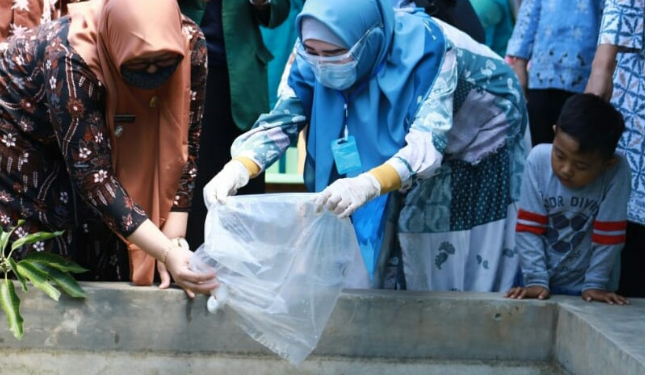 Program Sejuta Kolam Ikan untuk Ketahanan Pangan Warga