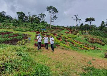 Puncak Tonang Destinasi Wisata Potensil Kabupaten Pasaman