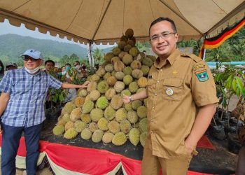 Dukung Pariwisata Kab. Solok Selatan helat Festival Durian.