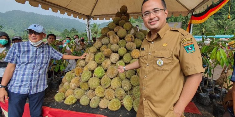 Dukung Pariwisata Kab. Solok Selatan helat Festival Durian.