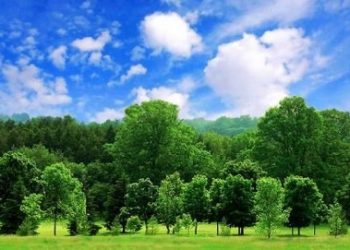 Perlukah Audit Lingkungan bagi Perusahaan?